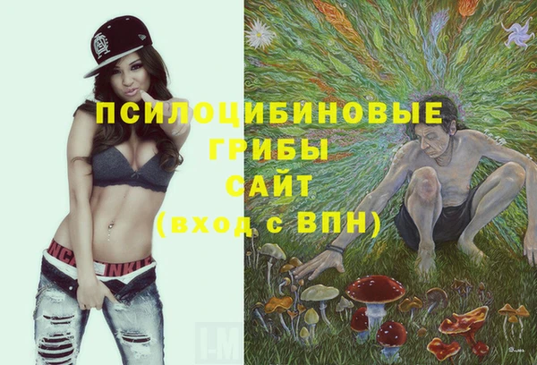 МДМА Вяземский