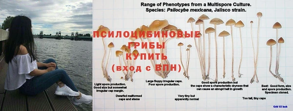 мет Вязники