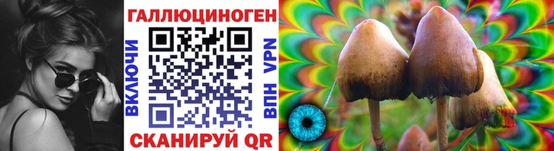 хочу наркоту  Осташков  Псилоцибиновые грибы Psilocybine cubensis 