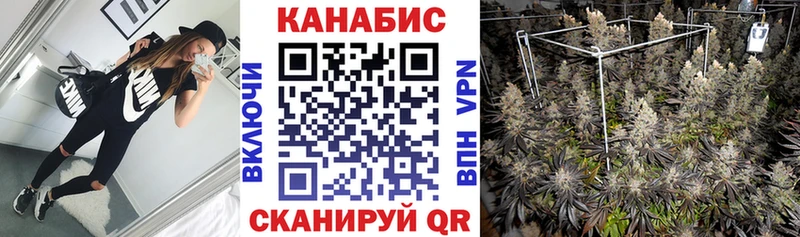 кракен вход  Осташков  Каннабис тримм 